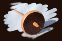 Brazilian Kingwood on Sycamore with Sycamore shaft