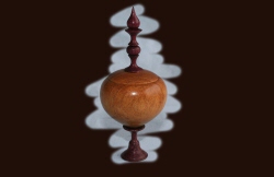 Lidded box in Satinwood and Purpleheart