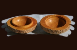 Oyster box in English boxwood
